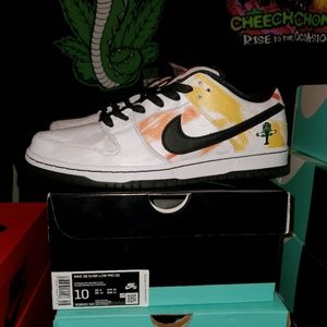 NIKE SB DUNK RAYGUNS
